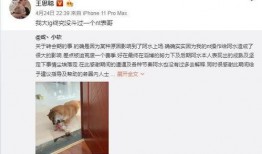 表哥最新爆料事件