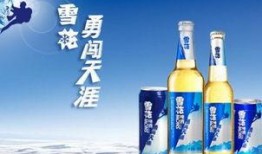 强爽啤酒爆料视频大全最新